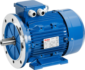 Elektros variklis 6T2 100L 1,5kW, IE2