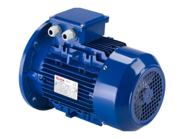 Elektros variklis 6T2 100L 3kW, IE2 - Image 2
